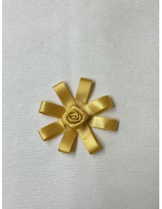 ROSELLINA CON APPLICAZIONE... 2